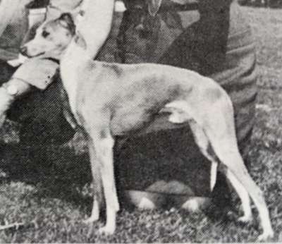 Post's Giacomo Puccini