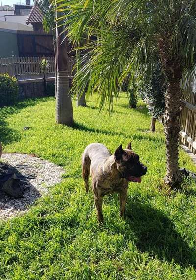ELVIA DE SAMCOR