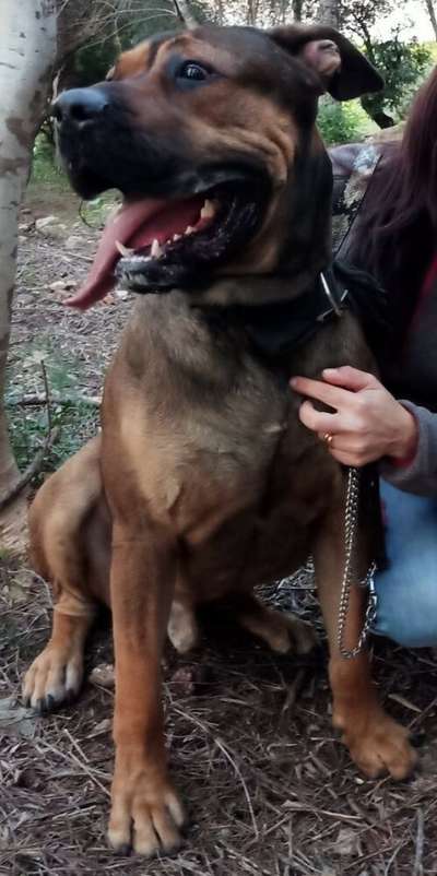 ARES ONE DE OMNIA AUDAX