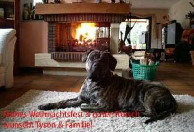 TYSON