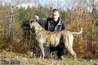 ULTIMATE SELECTION ZEIN