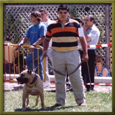 WAKO DE GUADALCAN