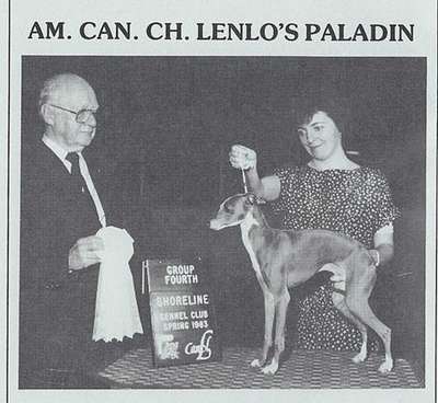 Lenlo's Paladin