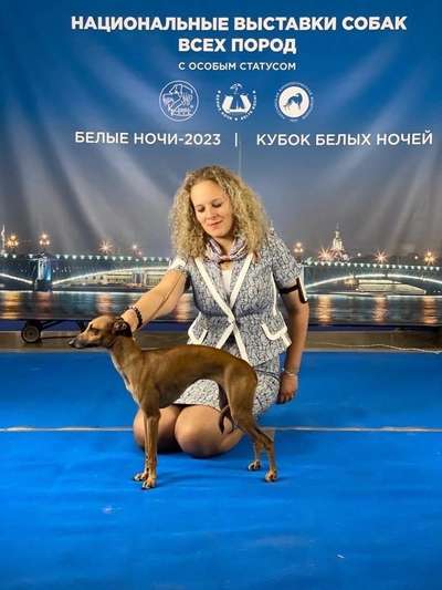 Onegin Eshli
