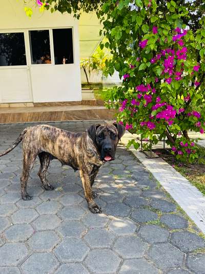 QUEN DE RULER OF THE ISLAND