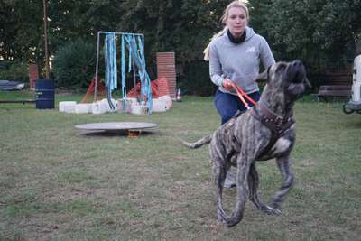 ARES DE LA ARENA