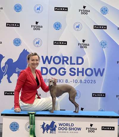 Famous Girl Dogoteka FCI