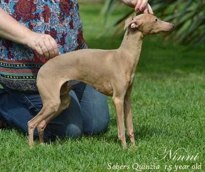 Sobers Quinzia