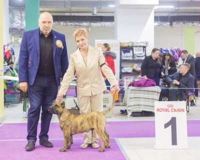 PROSHKA IZ DOLGOGO LUGA