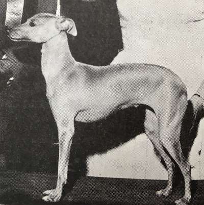 Jeannie Of Jachelann