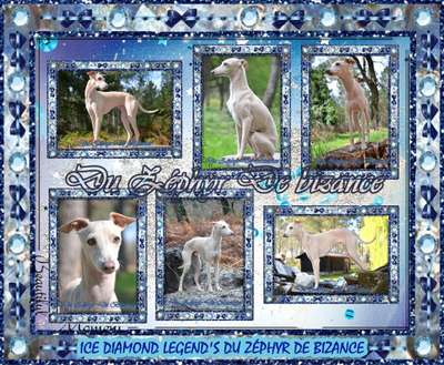 Ice Diamond Legend Du Zéphyr De Bizance