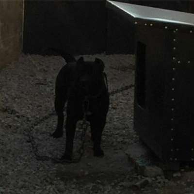 HERA SICILIA KENNEL