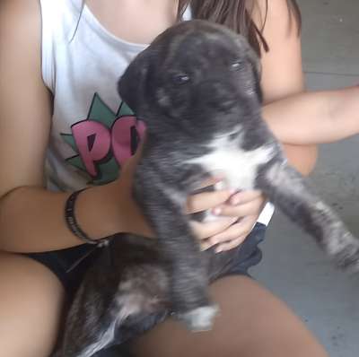 CRISTO DE KING ZULU
