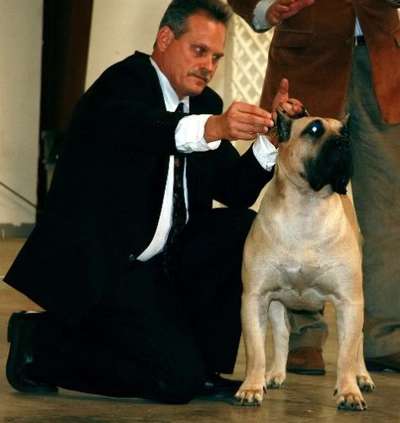 BRAVO KENNEL'S NAY-NA