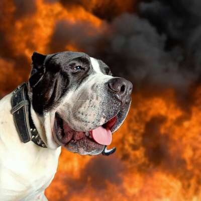 ARES DE GORGO