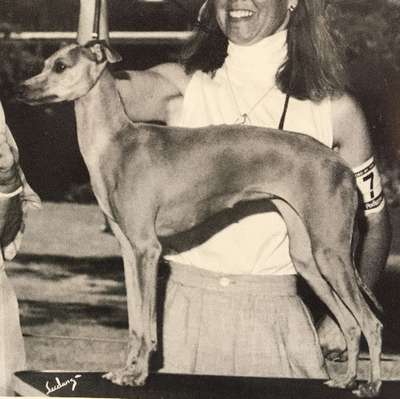 Littleluv's Fawn Hall