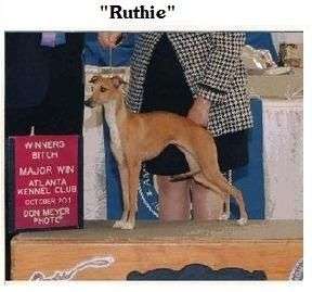 Bo-Bett's Ruthie Ricotta
