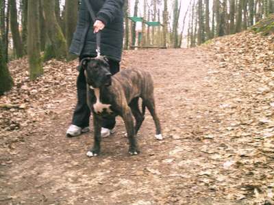 CHANY DES GARDIENS DES PELERINS