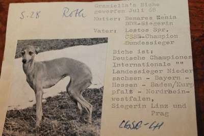 Graziella's Biche
