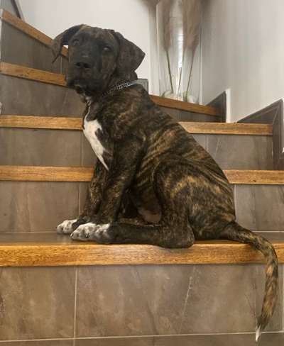EMPORIO DE KING ZULU