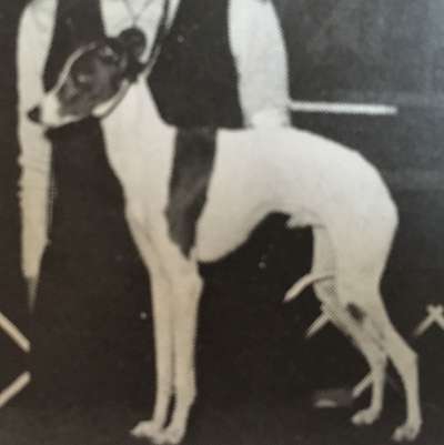 Tucker's Heir To Starlite