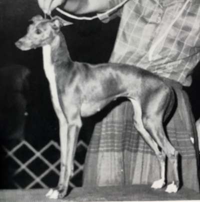 Dasa's Delta Lady