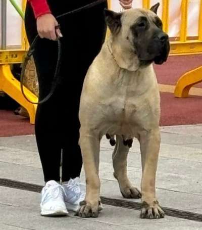 GARA DE CASA PANCHO