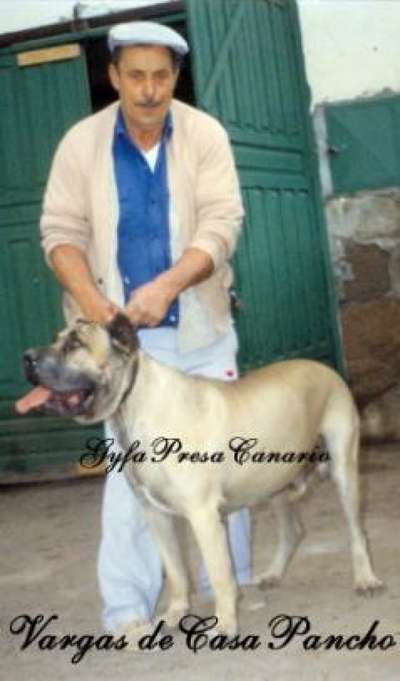 VARGAS DE CASA PANCHO