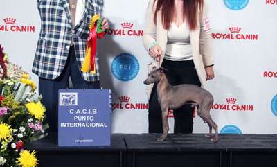 Marchwind Gigi D' Agostino