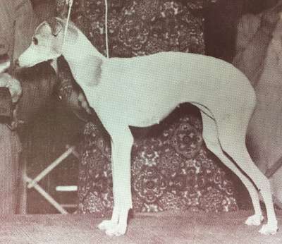 Quillita Of Kashan