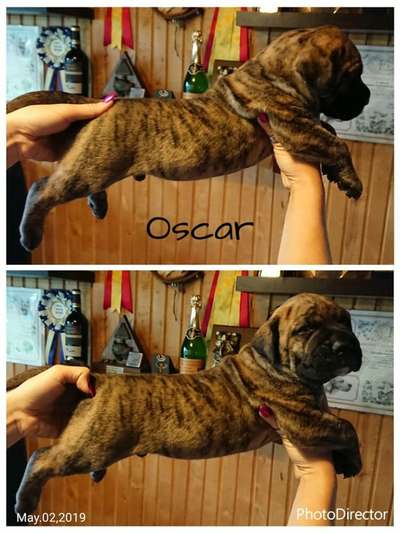 OSCAR NUESTRA SANGRE