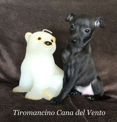 Tiromancino Cana del Vento