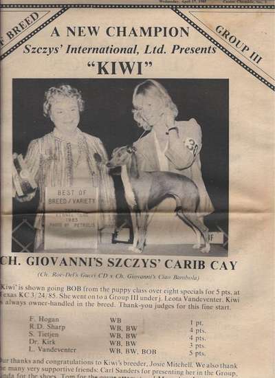 Giovanni's Szczy's Carib Cay