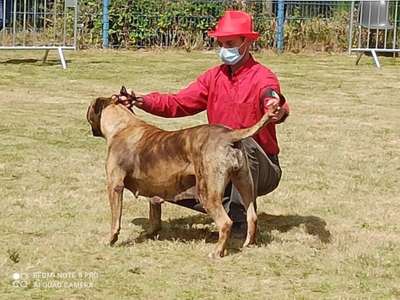 MELIOSSY DES LEGENDRE