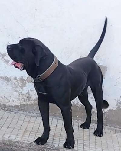 URCO DE BREVIERCAN