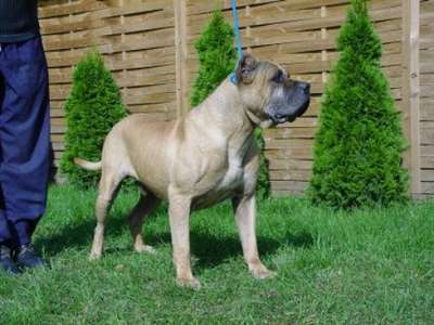 SANCHEZ