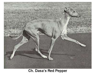 Dasa's Red Pepper