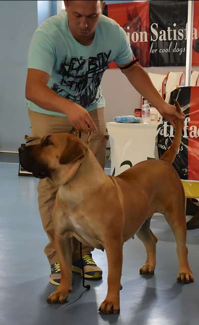 KIMA DE CIELO DE CANARIAS