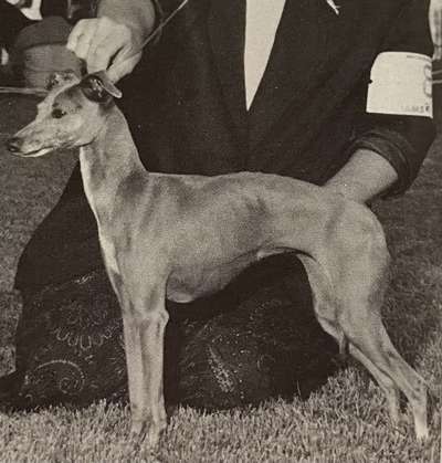 La Scala Leontyne Of Tucker