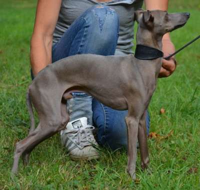 Lilla La Bella's Heartbreaker