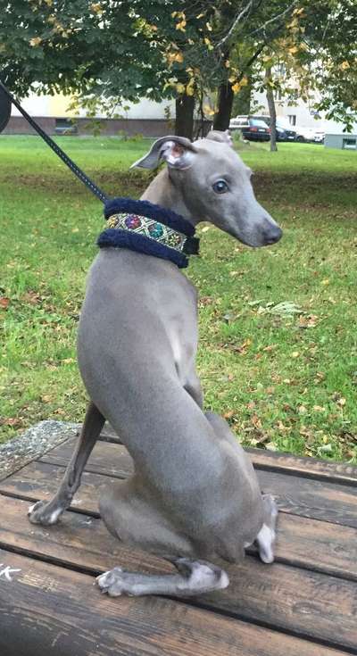 Admiration Lady Oswald