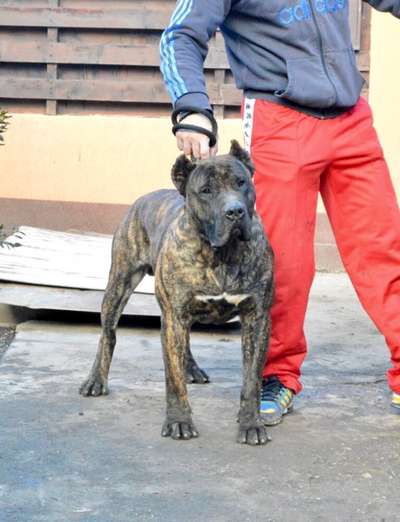 OSCAR MUNTENIA’S WARRIOR