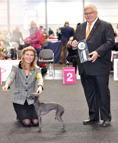 Il Cagnolino Kenzo