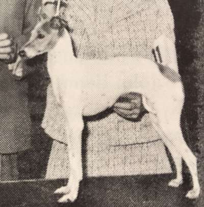 Cleden's Chaliza