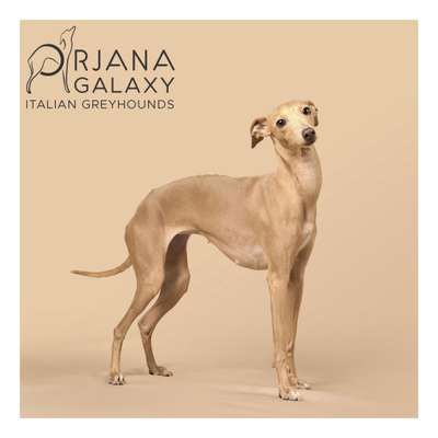 Julia Orjana Galaxy