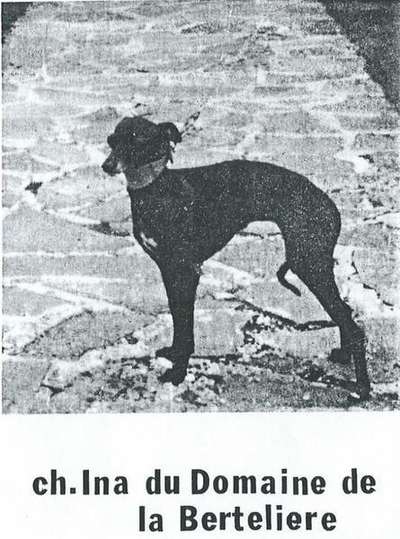 Ina Du Domaine De La Bertelière