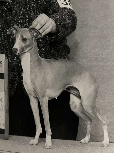 Buchio's Pocohontas