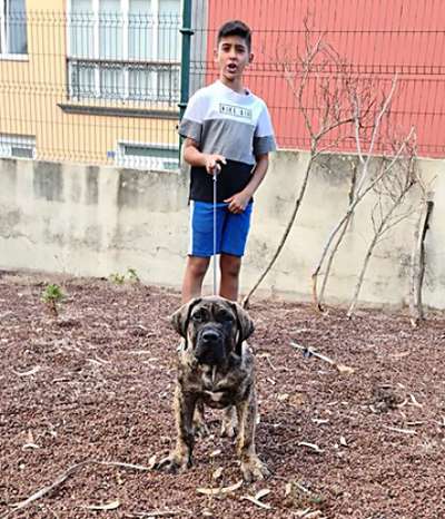 UNICO CANARIKENNEL