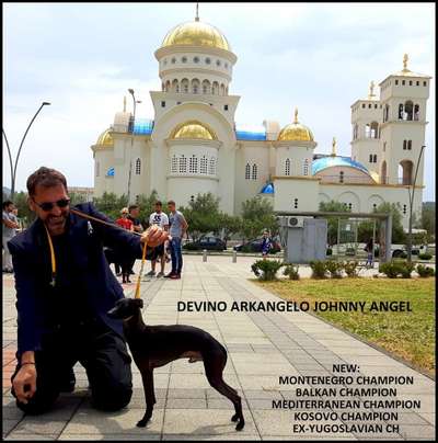 Zulu Warrior Devino Arkangelo Johnnyangel