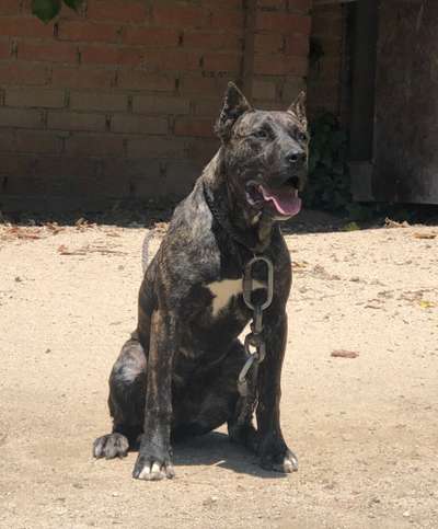 ÚRSULA DE KING ZULU